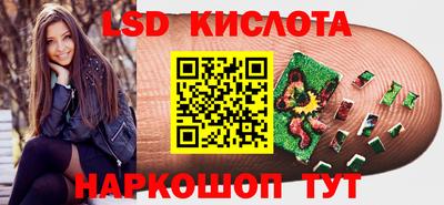 spice Новозыбков