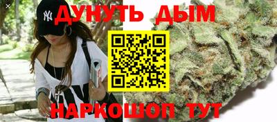 spice Новозыбков