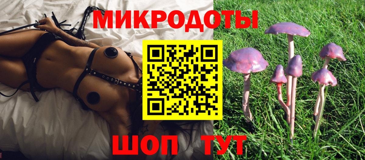 Галлюциногенные грибы GOLDEN TEACHER  Псилоцибиновые грибы Psilocybe  Семилуки  Вход с VPN 