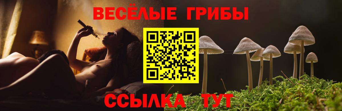 Псилоцибиновые грибы ЛСД Семилуки